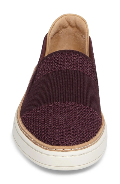 Shop Ugg Sammy Sneaker In Port Fabric