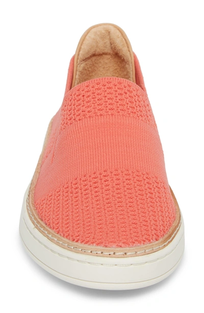 Shop Ugg Sammy Sneaker In Vibrant Coral