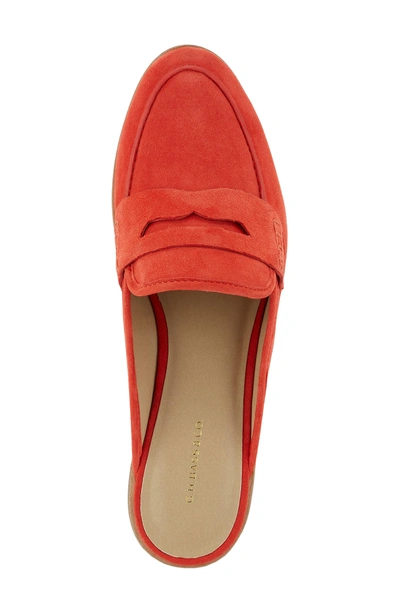 Shop G.h. Bass & Co. Erin Mule In Poppy Suede