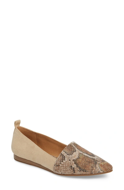 Shop Lucky Brand Beechmer Pointy Toe Flat In Travertine Leather