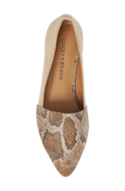 Shop Lucky Brand Beechmer Pointy Toe Flat In Travertine Leather