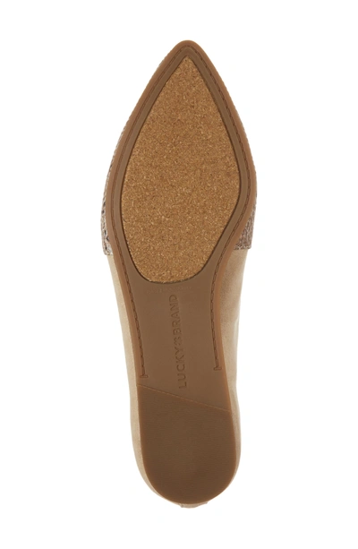 Shop Lucky Brand Beechmer Pointy Toe Flat In Travertine Leather