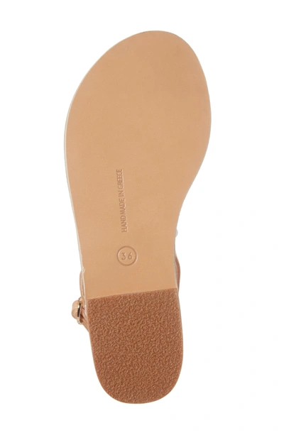 Shop Ancient Greek Sandals Clio Sandal In Natural Vachetta