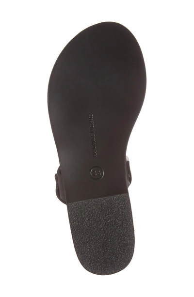 Shop Ancient Greek Sandals Clio Sandal In Black Vachetta
