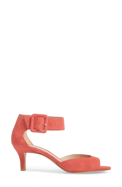 Shop Pelle Moda 'berlin' Ankle Strap Sandal In Flamingo Suede