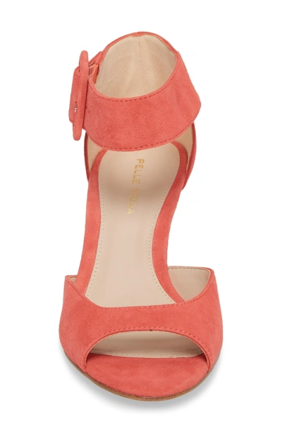 Shop Pelle Moda 'berlin' Ankle Strap Sandal In Flamingo Suede