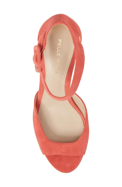 Shop Pelle Moda 'berlin' Ankle Strap Sandal In Flamingo Suede