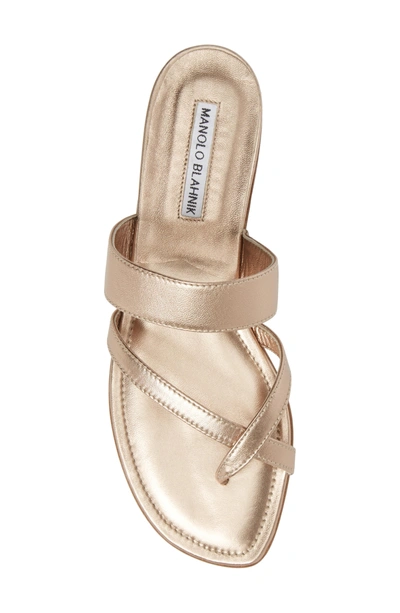 Shop Manolo Blahnik Slide Sandal In Light Rose Gold