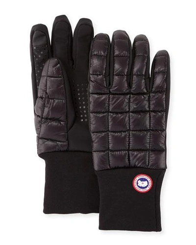 Shop Canada Goose Northern Glove Liner, Black