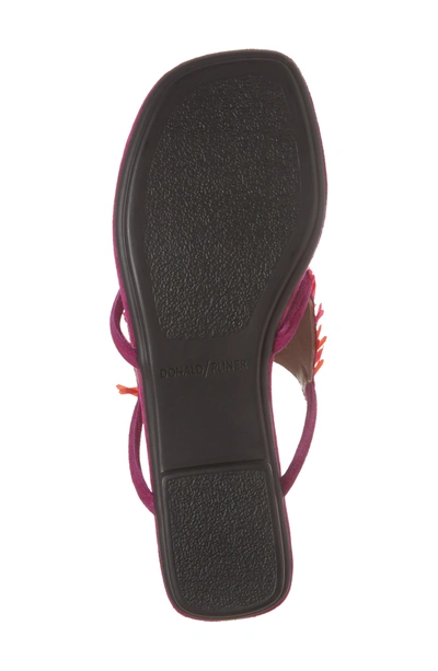 Shop Donald Pliner Kya Feather Sequin Sandal In Magenta Leather