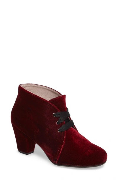 Shop Patricia Green Clair Lace-up Bootie In Burgundy Velvet Fabric