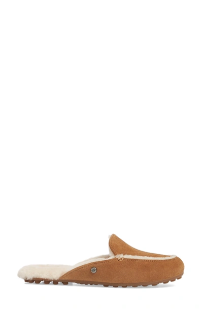 Shop Ugg Lane Genuine Shearling Slipper In Chestnut Suede