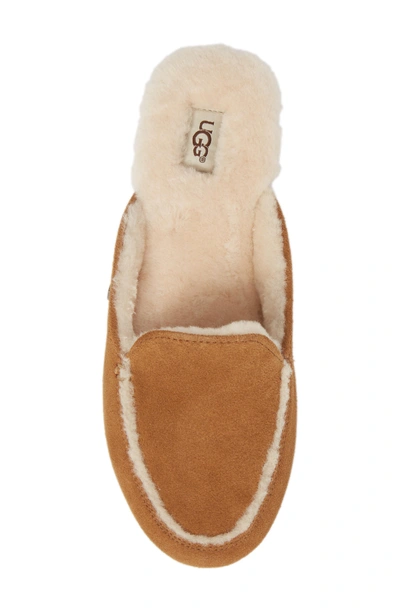 Shop Ugg Lane Genuine Shearling Slipper In Chestnut Suede