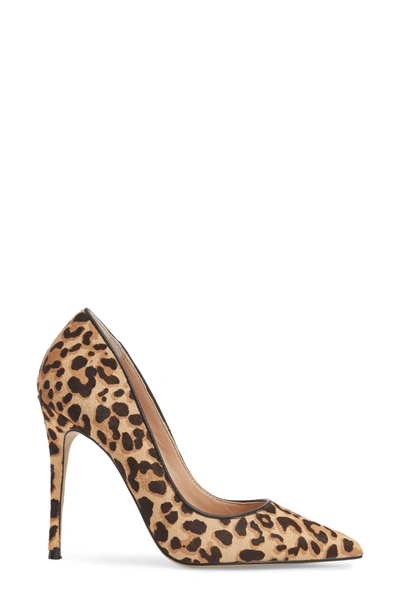 Shop Steve Madden Daisie Genuine Calf Hair Pointy-toe Pump In Leopard