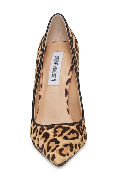 Shop Steve Madden Daisie Genuine Calf Hair Pointy-toe Pump In Leopard