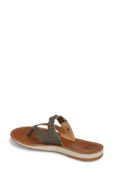 Shop Olukai Kahikolu Flip Flop In Slate/ Tan Leather