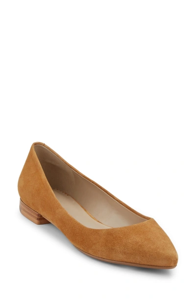 Shop G.h. Bass & Co. Kayla Pointy Toe Flat In Tan Suede