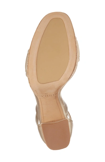 Shop Alexandre Birman Celine Ankle Tie Platform Sandal In Gold