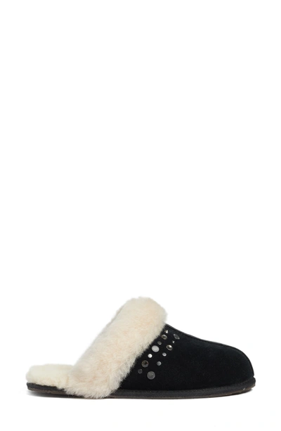 Shop Ugg Scuffette Ii Studded Slipper In Black