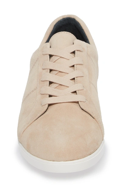 Shop Calvin Klein Sharleen Sneaker In Sandstorm Leather
