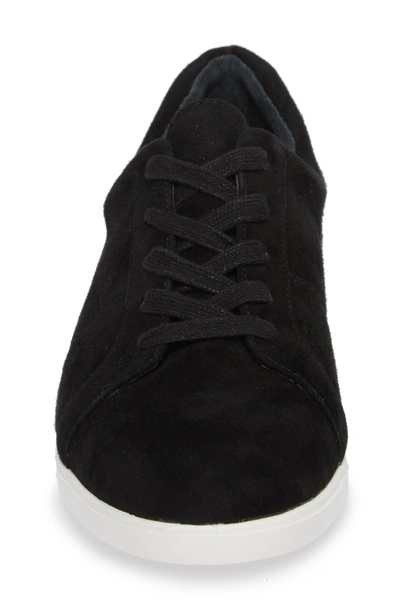 Shop Calvin Klein Sharleen Sneaker In Black Leather