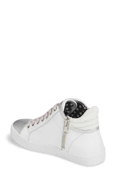 Steve madden shop savior star sneakers