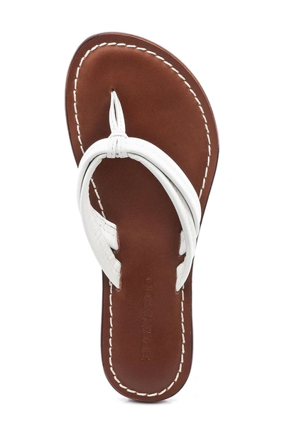 Shop Bernardo Miami Sandal In Navy/ White Leather