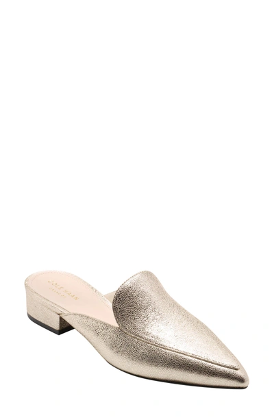Shop Cole Haan Piper Loafer Mule In Silver Glitter Leather