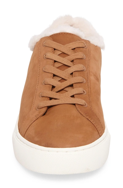 Shop Tory Burch Lawrence Genuine Shearling Lined Sneaker In Royal Tan