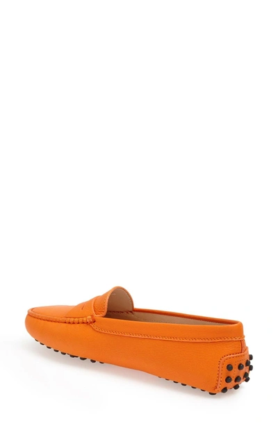 Shop Tod's 'gommini' Driving Moccasin In Orange