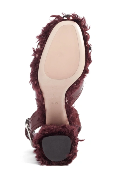 Shop Miu Miu Faux Fur Platform Sandal In Burgundy