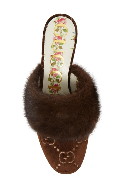 Shop Gucci Candy Genuine Mink Fur Mule In Marrone