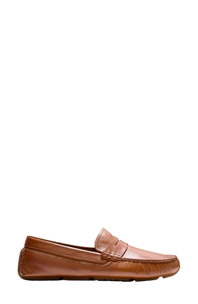 Shop Cole Haan Rodeo Penny Driving Loafer In Luggage Leather