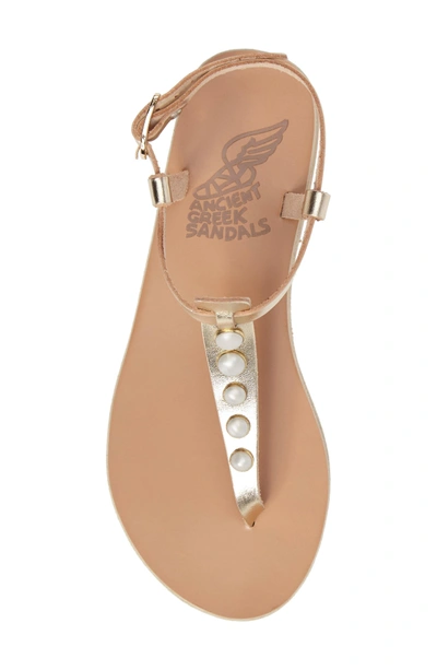 Shop Ancient Greek Sandals Lito Imitation Pearl Embellished T-strap Sandal In Platino