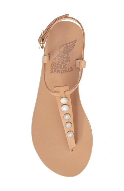 Shop Ancient Greek Sandals Lito Imitation Pearl Embellished T-strap Sandal In Natural Vachetta