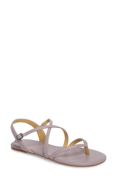 Shop Splendid Brett Strappy Flat Sandal In Wisteria Leather