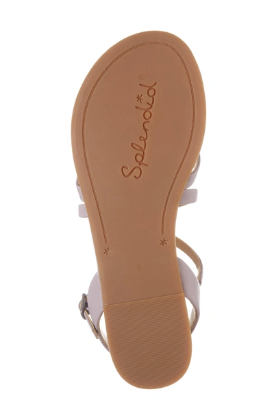 Shop Splendid Brett Strappy Flat Sandal In Wisteria Leather