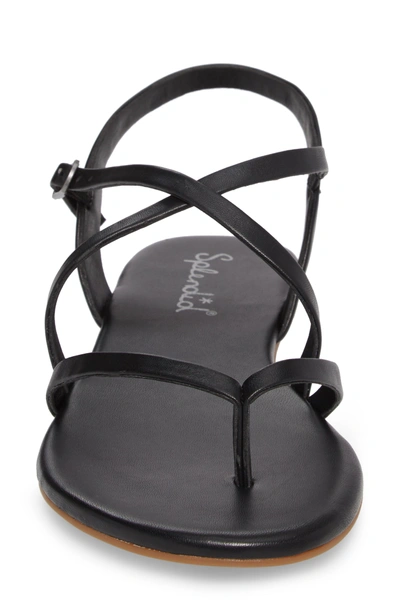 Shop Splendid Brett Strappy Flat Sandal In Black Leather