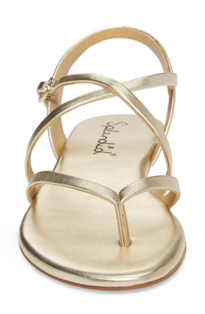 Shop Splendid Brett Strappy Flat Sandal In Rose Gold Metallic Leather