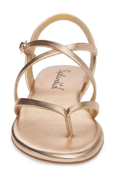 Shop Splendid Brett Strappy Flat Sandal In Rose Gold Metallic Leather