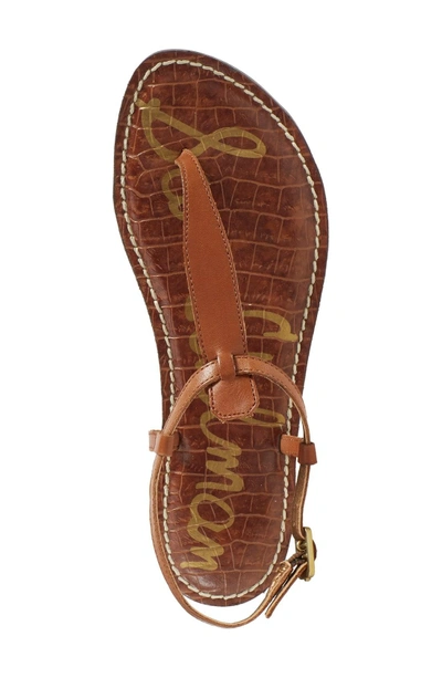 Shop Sam Edelman Gigi Sandal In Hot Coral/ Saddle Leather