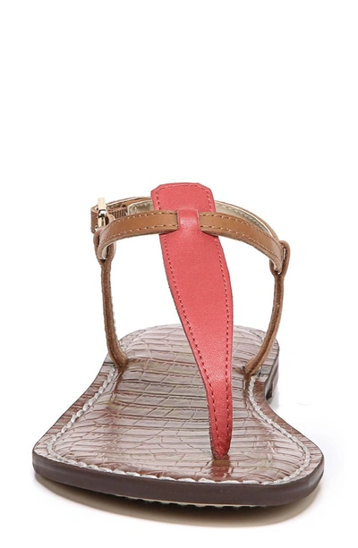 Shop Sam Edelman Gigi Sandal In Hot Coral/ Saddle Leather