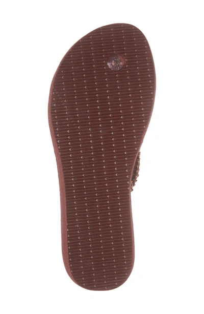 Shop Havaianas High Metal Grega Wedge Flip Flop In Grape Wine