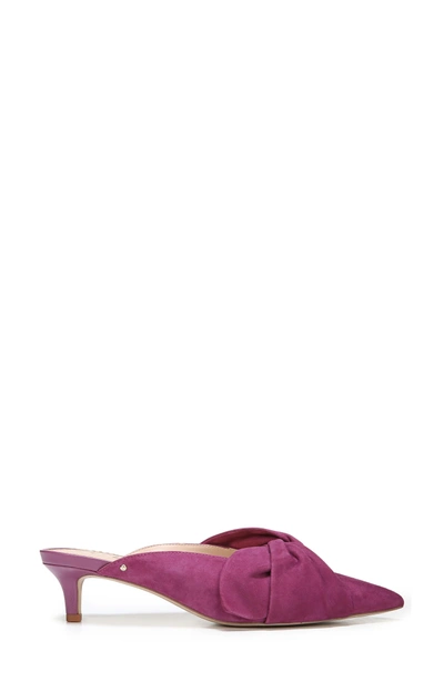 Shop Sam Edelman Laney Pointy Toe Mule In Mulberry Pink Suede