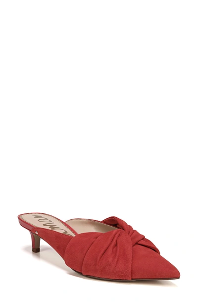 Shop Sam Edelman Laney Pointy Toe Mule In Candy Red Suede