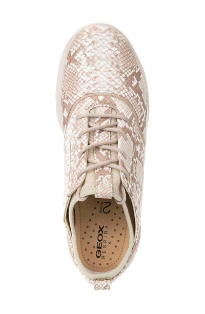 Shop Geox Nebula S 1 Python Embossed Sneaker In Beige Leather