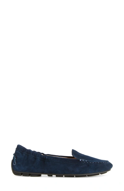 Shop Taryn Rose Kristine Loafer In Navy Suede