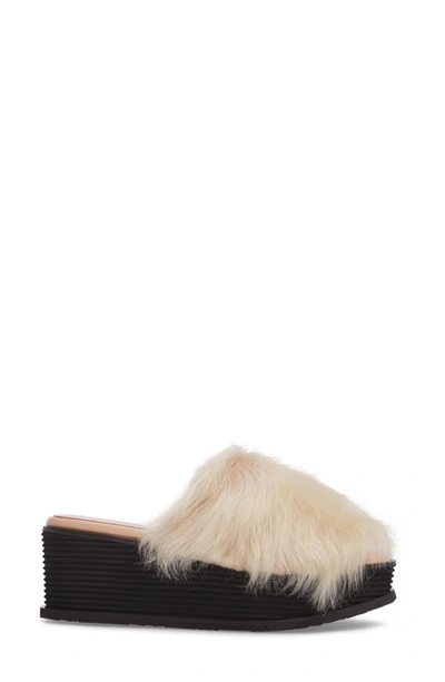 Shop Taryn Rose Pearla Genuine Shearling Platform Slide Sandal In Beige Shearling