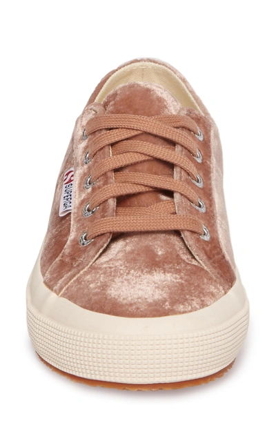 Shop Superga Cotu Classic Sneaker In Blush