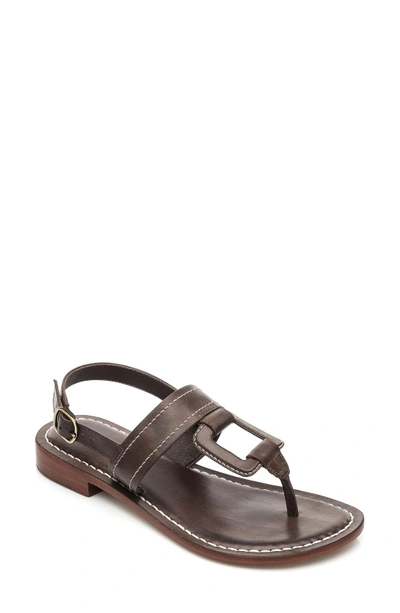 Shop Gucci Tegan Sandal In Chocolate Leather
